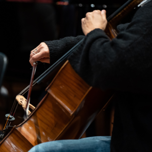 Close up of a person's arms and hands, playing a cello, in black jumper and blue jeans playing the cello 