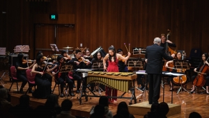 A girl in a red dress playing the vibraphone in front of an orchestra