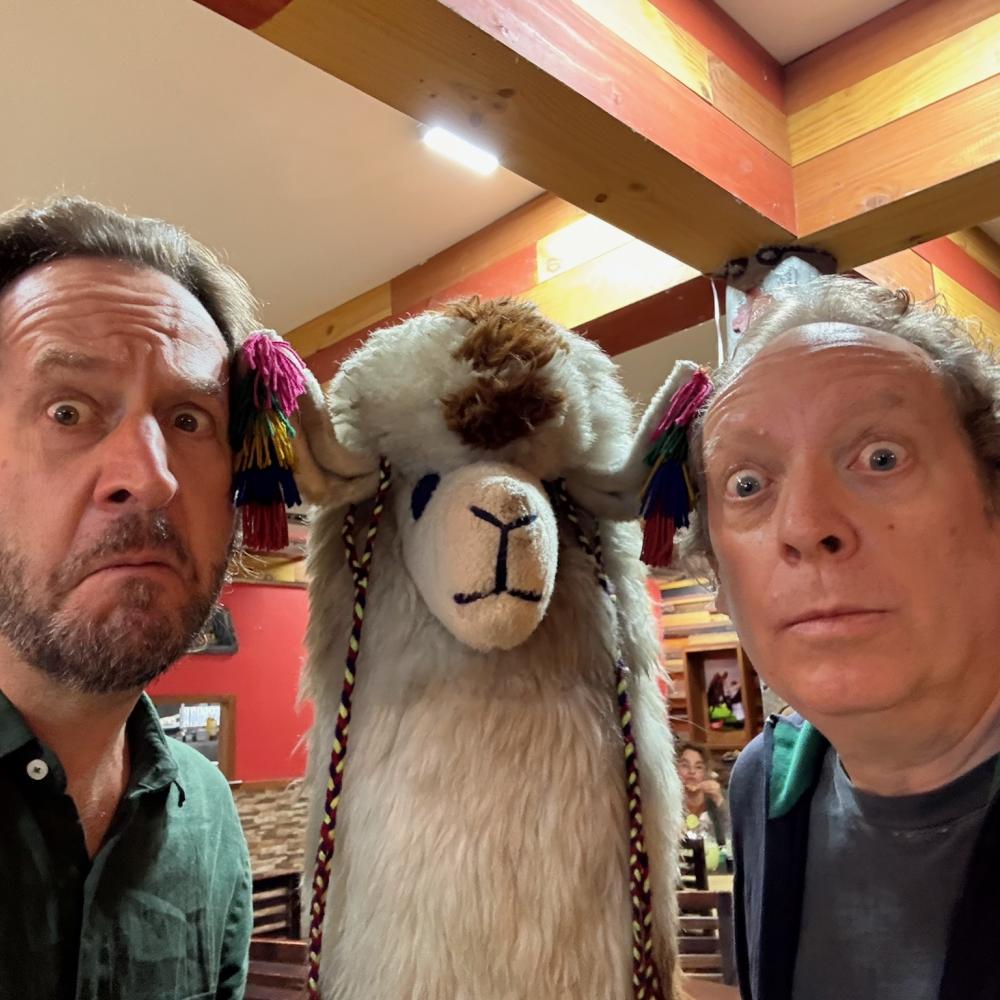 David, a alpaca and his colleague